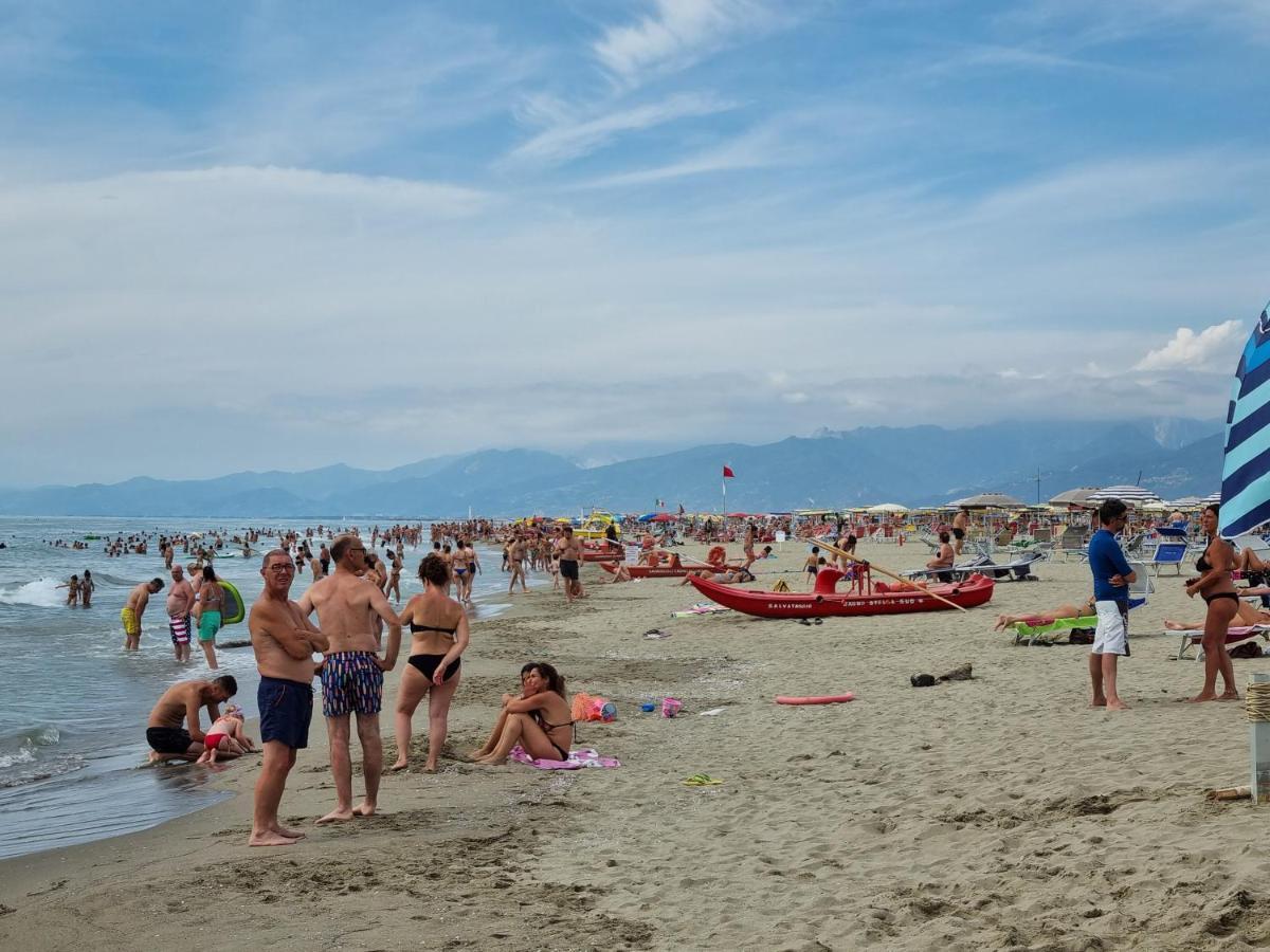 Chalet 4 Or 6 Persons Toscana Viareggio Camping Bosco Verde Italie Torre del Lago Puccini Exterior foto